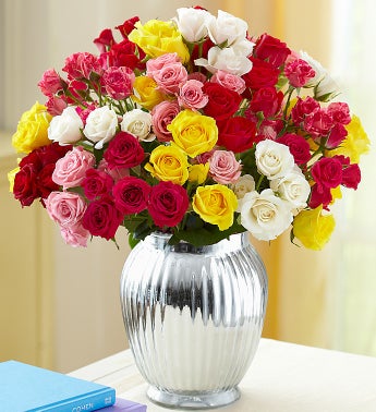 Spray Roses, 50-100 Blooms