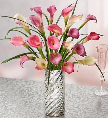 Sophisticated Elegance Calla Lilies, 20 Stems
