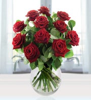 12 Red Long Stem Roses