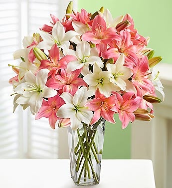 Pink and White Asiatic Lilies