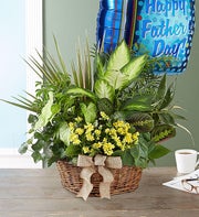 European Dish Garden for Dad