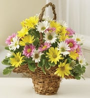 Spring Daisy Basket