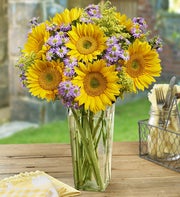 Hello Sunshine?