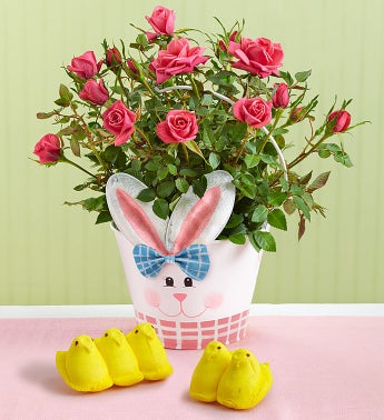 Easter Bunny Blooms