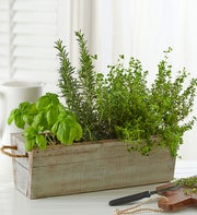 Organic Edible Garden