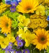 August's Arrangement
