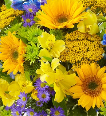 August's Arrangement