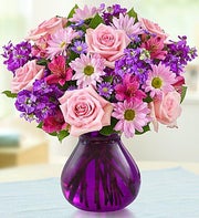 Lavender Dreams?