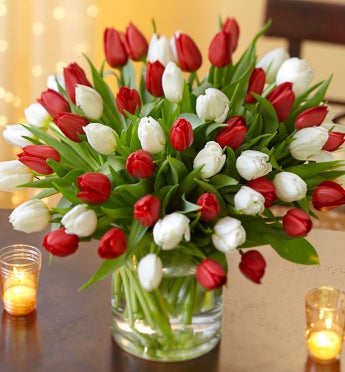 Holiday Tulips, 60 for $50 with Free Vase