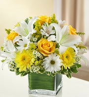 Yellow and White Cube Arrangement