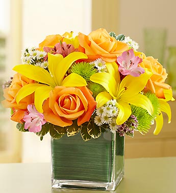 Fields Of Europe? in Cube Vase