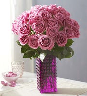 Passion for Purple Roses Buy 12, Get 12 Free