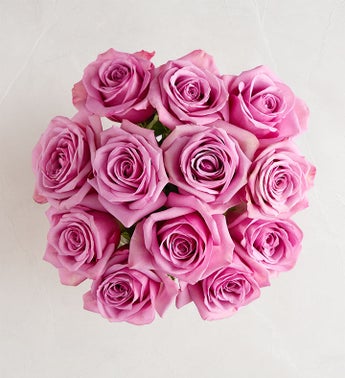 March's Rose