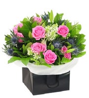 Pink Taffeta