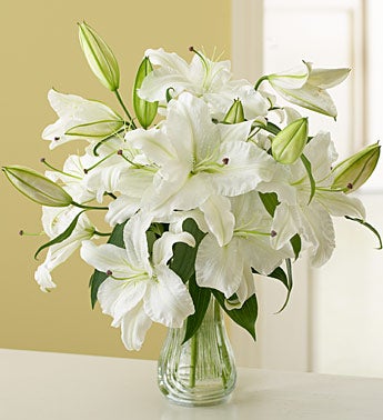 star shaped lilies in a classic glass vase