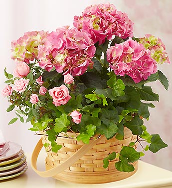 woven%20basket%20with%20hydrangea,%20pink%20rose%20and%20ivy