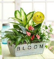 Send a Smile Garden
