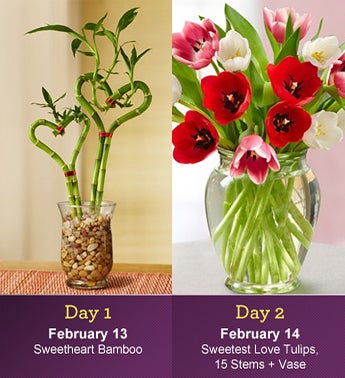 Two Days of Love