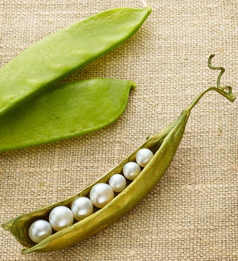 Pea Pod Pin