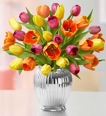 Assorted Tulips, 15-30 Stems