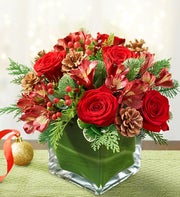 Colors of Christmas™ 