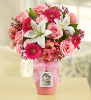 Sweet Baby Girl? Arrangement