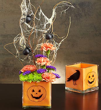Halloween Treat?
