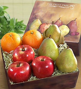 Arbor Harvest Fresh Fruit Sampler Box