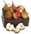October's Fruit of the Month