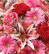 February's Arrangement