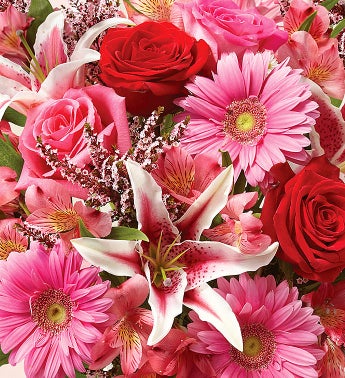 February's Arrangement
