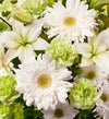 March's Arrangement