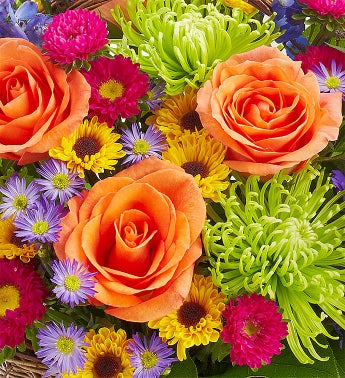 June's Arrangement