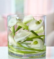 Mini Calla Wrapped in Cylinder