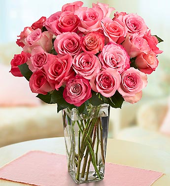 زهور وورود Flowers roses
