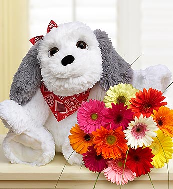 Big Doggie for Baby with Daisies