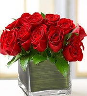 Modern Roses - One Dozen Red