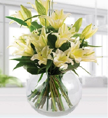 White Lilies Sympathy Arrangement