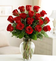 Rose Elegance? Premium Long Stem Red Roses