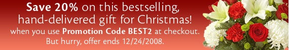 Christmas Special