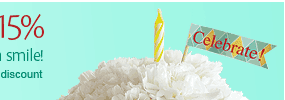 Save 15% on purchases of $29.99 or more