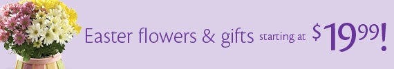 Easter Plants and Gifts starting at $19.99