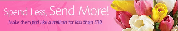 Gifts under $30