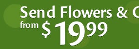 Birthday Flowers and Gifts
