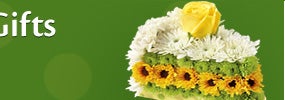 Birthday Flowers and Gifts