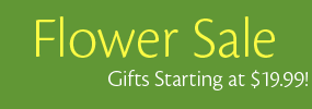 Flower Sale from $19.99