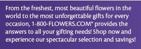 Radio Offers