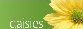 Daisies