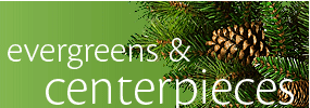 Evergreens and Centerpieces