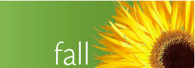 Fall Flowers and Gifts